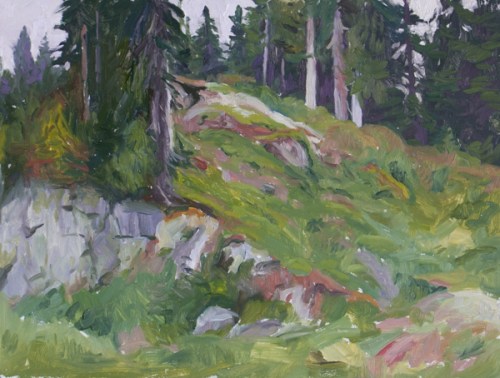 Seymour in fine mist - oil on panel - 9" x 12"